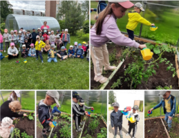 Изображение для новости